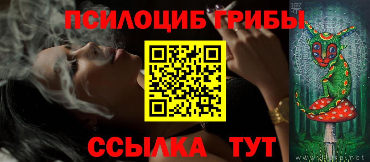 Заводоуковск  Псилоцибиновые грибы Magic Shrooms  Вход с VPN  где купить наркоту  Галлюциногенные грибы Psilocybe 